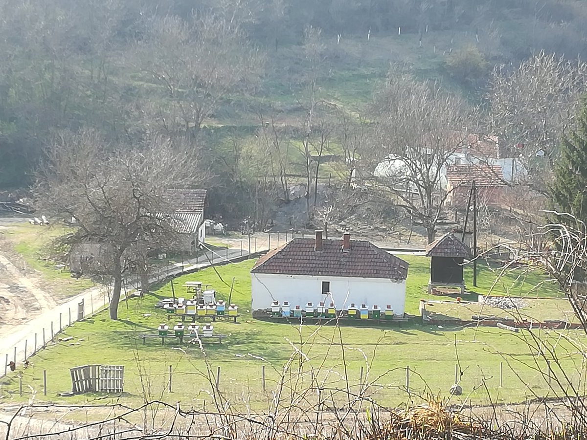 ekoneckg's tweet photo. Konkurs Grada Sombora za nabavku novih pčelinjih društava i opreme za pčelarstvo. https://t.co/L2rczbxyG9 https://t.co/yhHzEoMctp
