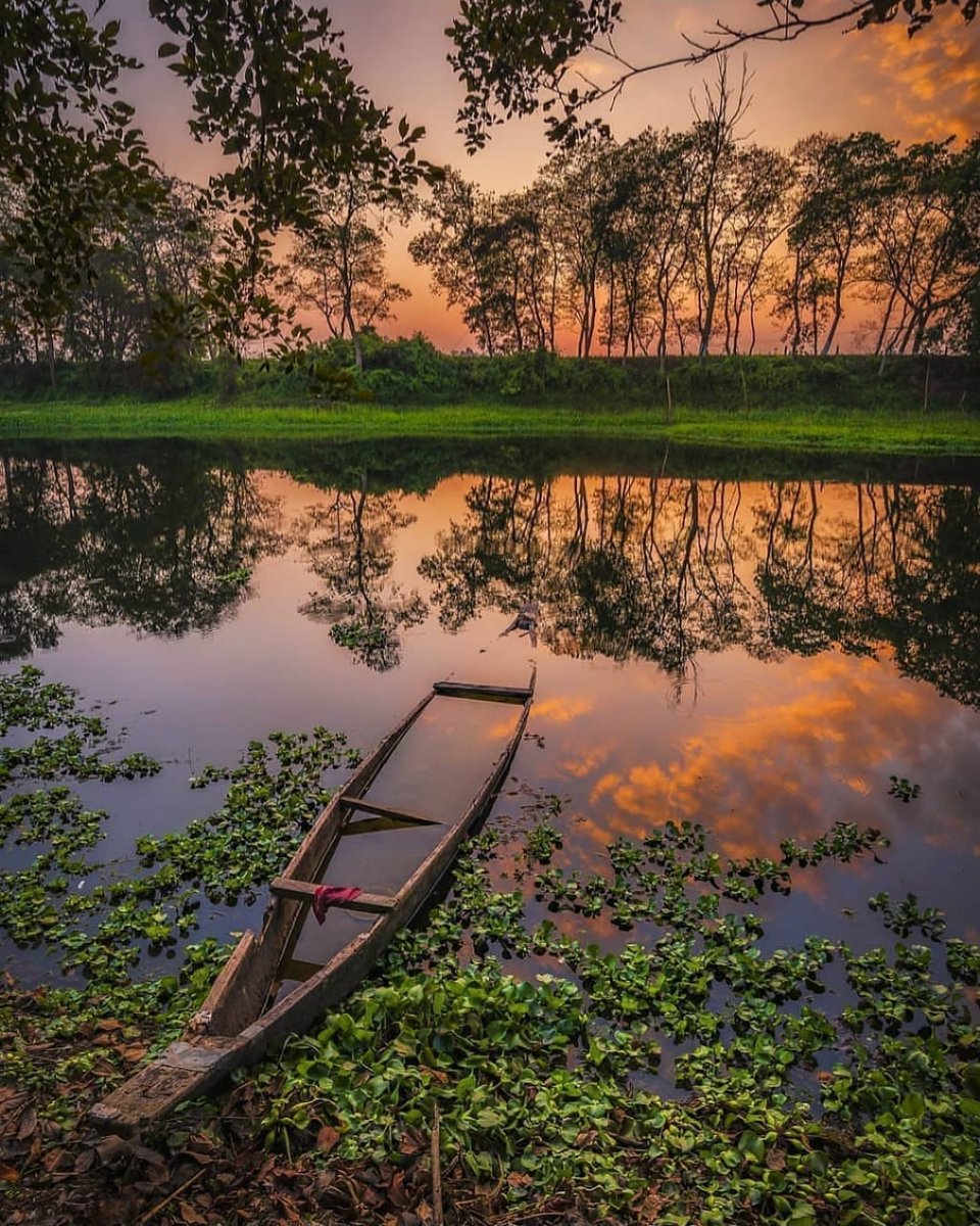 Situated in the heart of Assam, Majuli Island ♥️
Photograph By @sachin_bharali
..
..
..
#assam #assamtourism #assamdiaries #awesomeassam #majuli #visualambassador