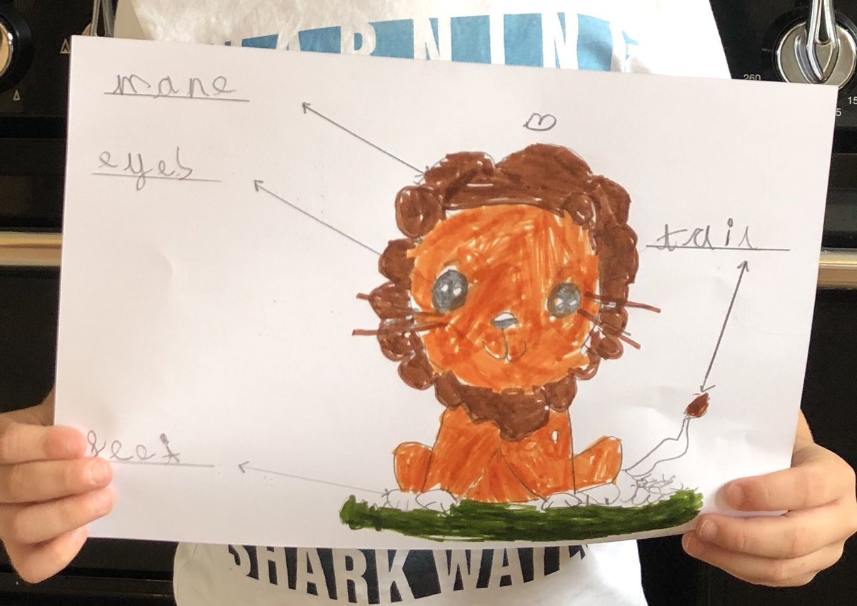 CoochyLee's tweet photo. @TanfieldPrimary This weeks and last weeks science work. #tanfieldlearning https://t.co/ghBRUbVBi7