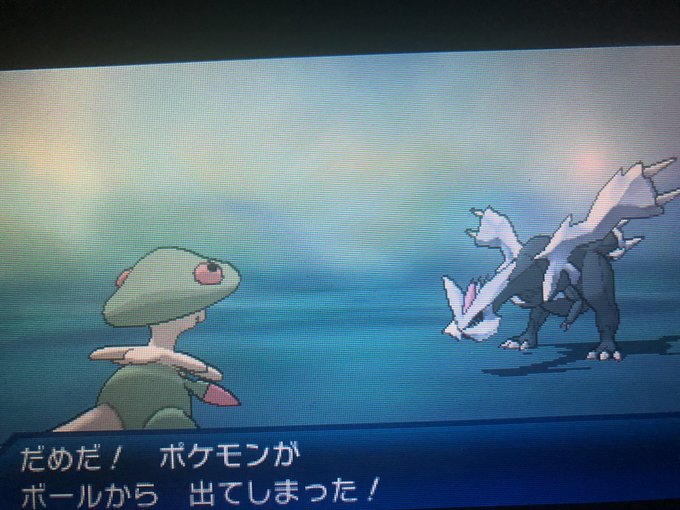 光るのtwitterイラスト検索結果