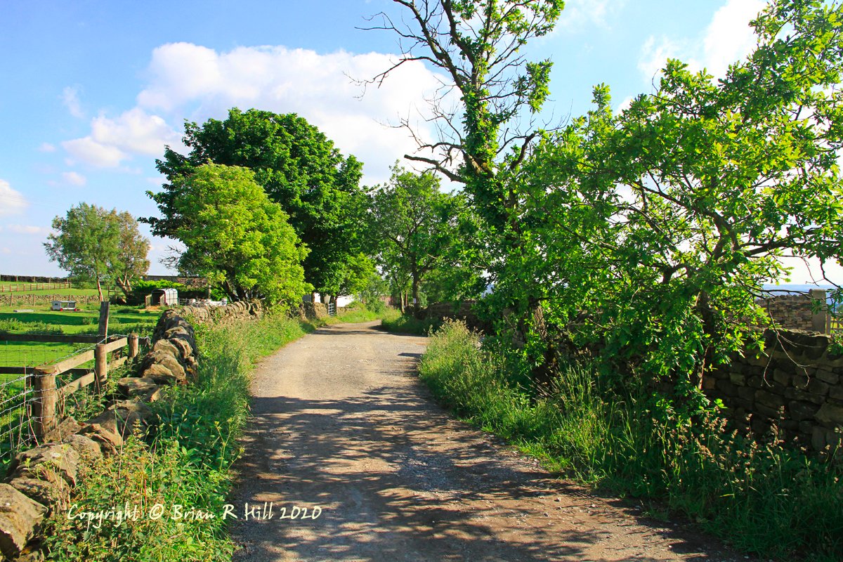 Yorkshire_Image's tweet image. More lock down exercise around home  @ThePhotoHour @StormHour @EarthandCLouds @FotoRshot #Wharfedale  #lockdownexercise  #YorkshireDales #photography #landscapephotography