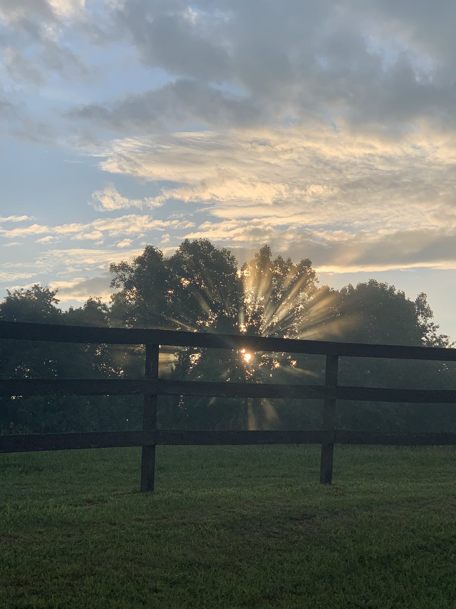 Shane Highley (@tylerboe19) on Twitter photo 