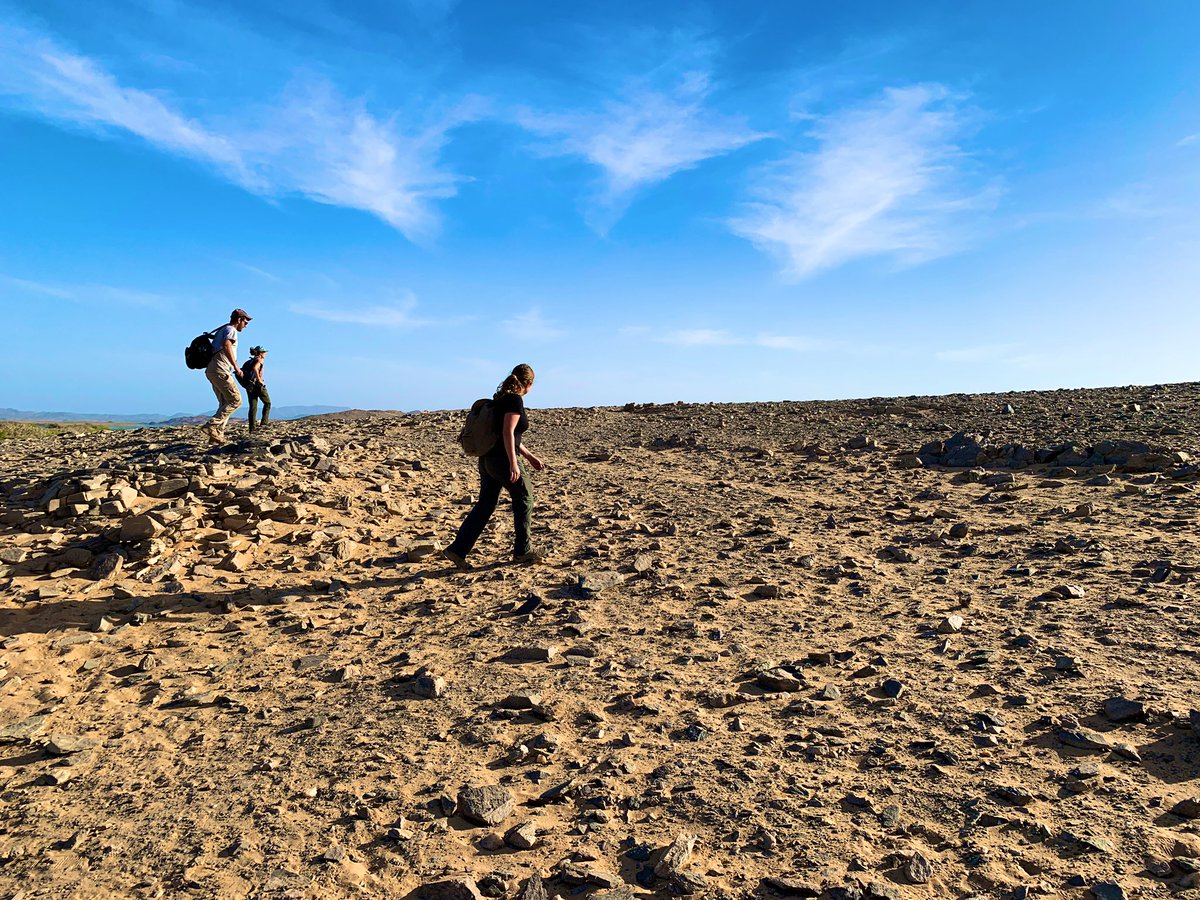 Outside of the Mediterranean, I work at the Egyptian fortress of Uronarti in Sudan. We’re excavating the incredible 4,000yo fortress & surveying the surrounding landscape to better understand the social implications of the site. Check it out here:  https://www.cambridge.org/core/journals/antiquity/article/uronarti-regional-archaeological-project-second-cataract-fortresses-and-the-western-desert-of-sudan/E26AB262D6EF7132C7B41C17F71FEB79