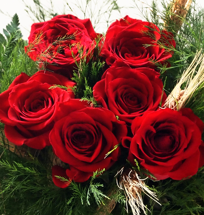 Roses_SJ's tweet photo. 🌹🌹🌹🌹🌹🌹 Ramo de 6 Rosas rojas a Domicilio: 32,99€ Envio Gratis en 24h.
Confía en la calidad de Rosas Sant Jordi, ahora con entrega a domicilio de ramos Premium.
Dilo con flores https://t.co/4Rj6pH2AOg #FloresaDomicilio #FloresOnline #ElMejorRegalo https://t.co/OX7BrpyDBE