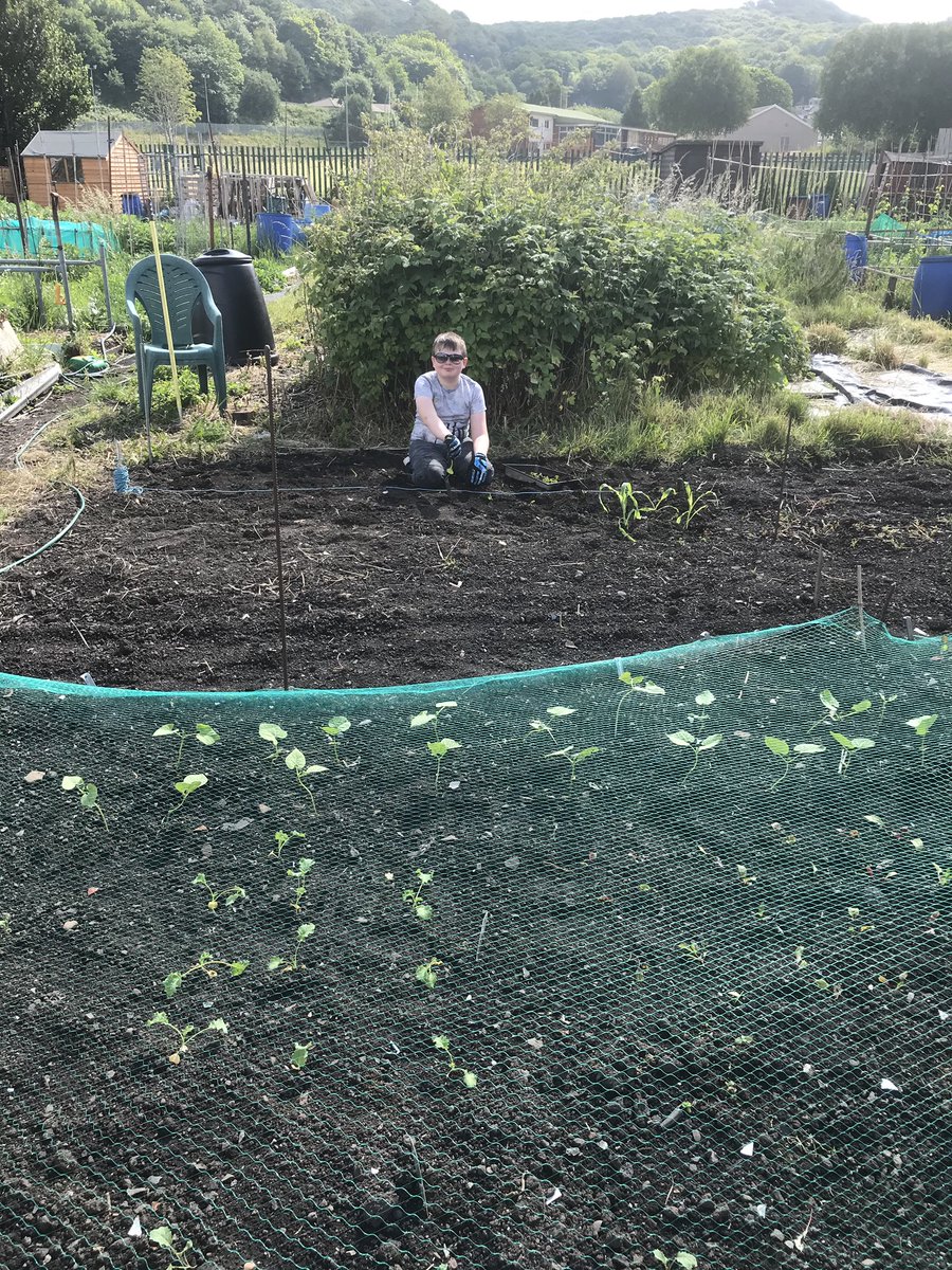 HubVernon's tweet photo. @YCHYr6 Harri and Billy helping out in the allotment 😊 https://t.co/4wu7TCAHGe