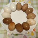 味卵の食べ比べ、作り方も公開!参考にいかが？