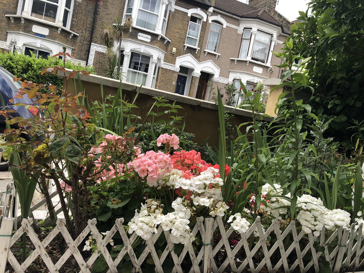 Marioara Iacoban (@marioaraiacoba1) on Twitter photo 