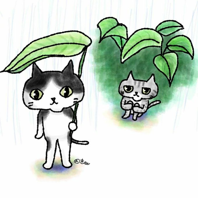 葉っぱの傘のtwitterイラスト検索結果