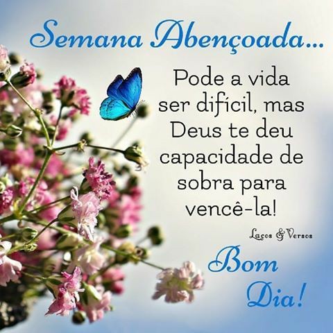 valdson_p's tweet photo. Bom dia. Semana abençoada! Excelente segunda-feira a todos! 👐 https://t.co/QMQgZZ9CmW