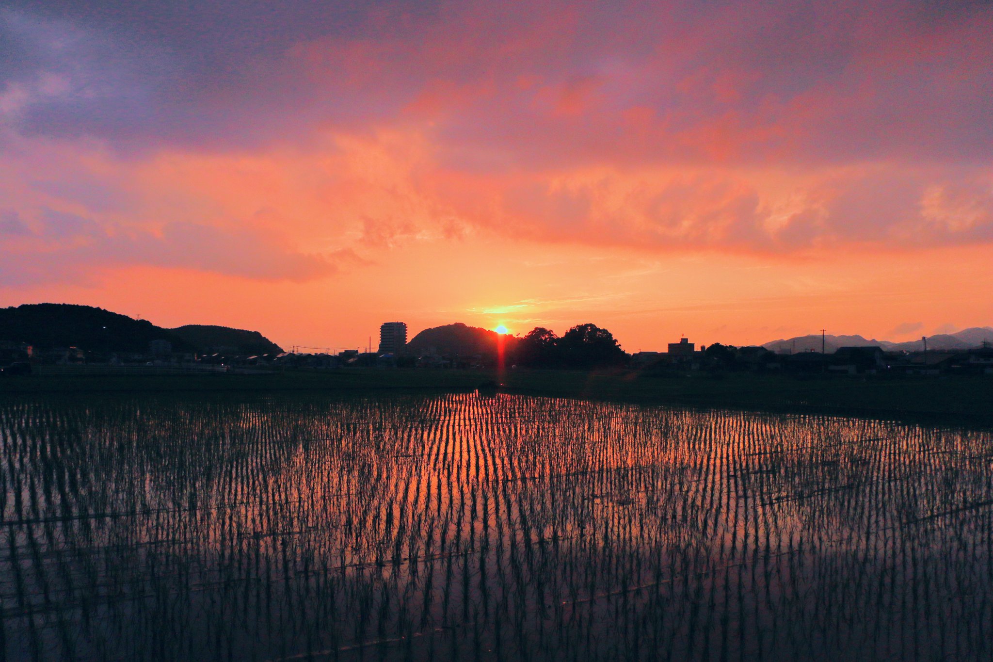まろん 篠栗 の 夕陽 は今日も綺麗でした 夕焼け 夕焼け空 たそがれどき 黄昏時 かわたれどき かたわれどき そら 空 Sasaguri Sunset Twilight Sky T Co Trgphrbwxf Twitter