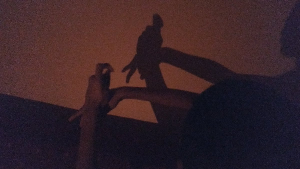 There was no electricity for 6 days after cyclone Nisarg. Atharva tried keeping himself busy & making us feel relaxed during this tough situation by taking the challenge of candle light to explore his creativity 
#CycloneNisarga
#candlelight #Selfie
#ShadowPlay #handshadow