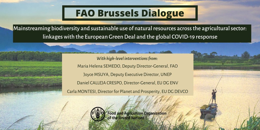 Participate in the 3rd @FAOBrussels Dialogue with high-level speakers and @FAO & @UNEP experts replying to your questions! Learn more about key elements of 🇺🇳 UN and 🇪🇺 EU global collaboration on #biodiversity and the #EUGreenDeal. 👉Register now: bit.ly/30ABk8d