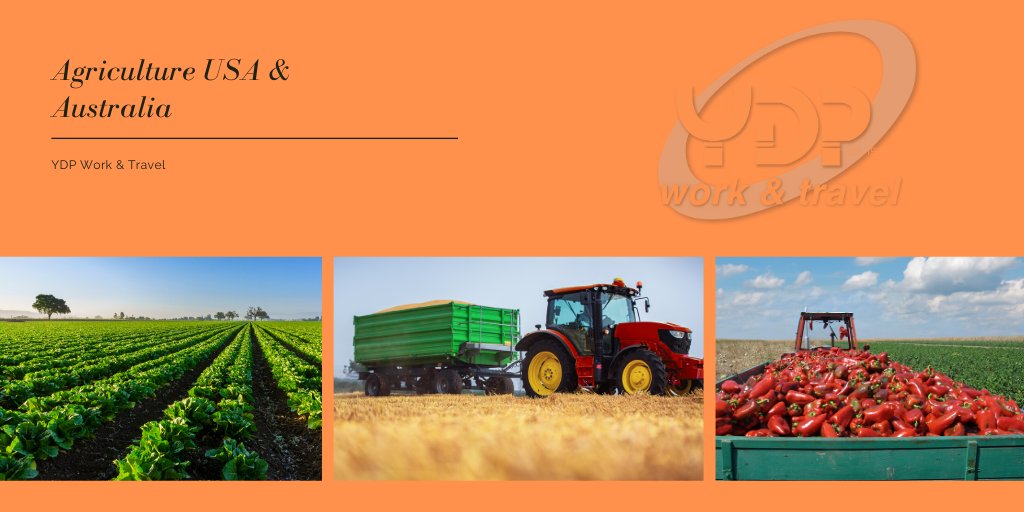 We have 27 years of experience in international agricultural internships and job placements, call Thobeka on 0861 166 881 and find out how we can get you placed successfully. Visit bit.ly/2UDxhF6 or travel@ydp.co.za