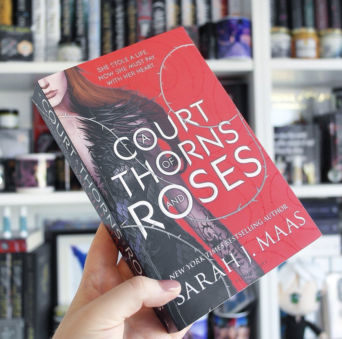 28. A Court of Thorns and Roses by Sarah J. Maas (sixth read )• You know I love this book• Tabbed and annotated for the first time - so much fun!• I learn something new every time• I agree that there is a lack of diversity/rep• This book changed my life • 5/5 stars