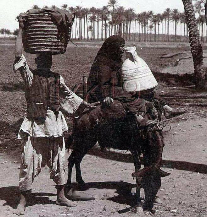 الصورة من إحدى القرى المصرية سنة 1883م ويظهر فيها زوجين فلاحين الزوجة راكبة على الحمار والزوج يسير على الأقدام رغم أنه حافي حامل البضاعة فوق رأسه.
.
وهناك أشخاص يقومون بعكس هذا وذلك لفرض السيطرة والرجول على النساء!
.
كانت آخر وصايا الرسولﷺفي خطبة الوداع:
(واستوصوا بالنساء خيراً)