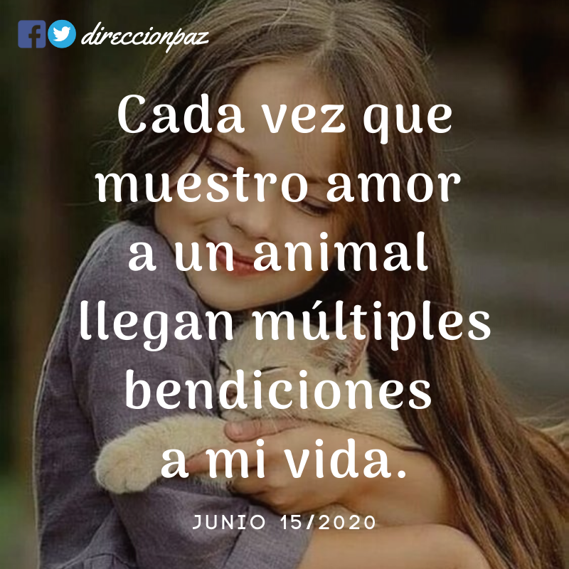 DireccionPaz's tweet photo. ¡Amor y bendiciones de todo tipo! ❤️🐱🐶 https://t.co/16T1JncQPR