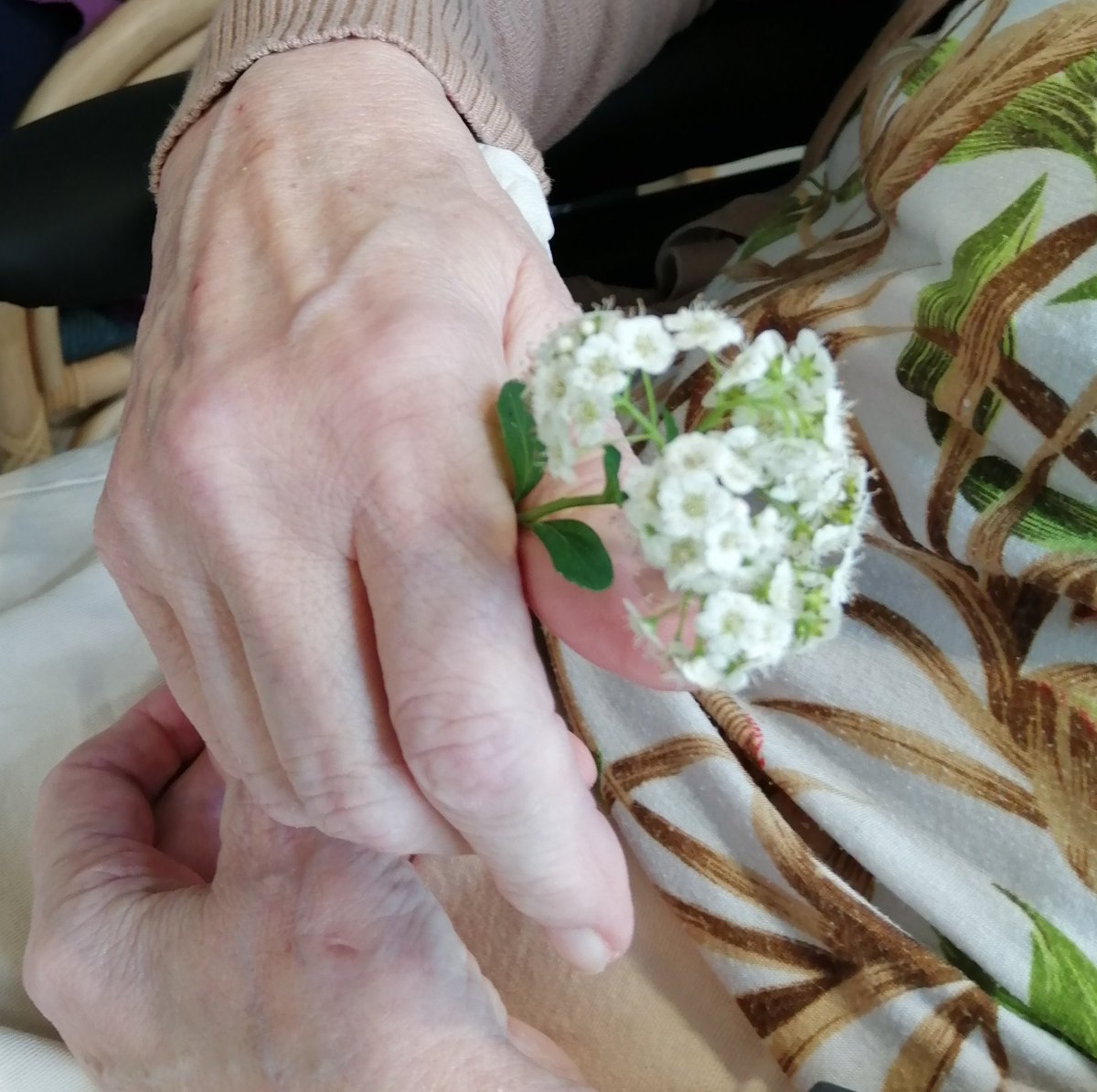 HyvaVantaa's tweet photo. Teemana tänään oli luonnon tuoksut ja tuoksumuistot 
#hiljaistenryhmä
#pienryhmä 
 #luonto #kesä  #rauhoittuminen
#hyvämieli
@HyvaVantaa @ElinaSarkkinen @AnittaHietar https://t.co/zbzN5pxxXl