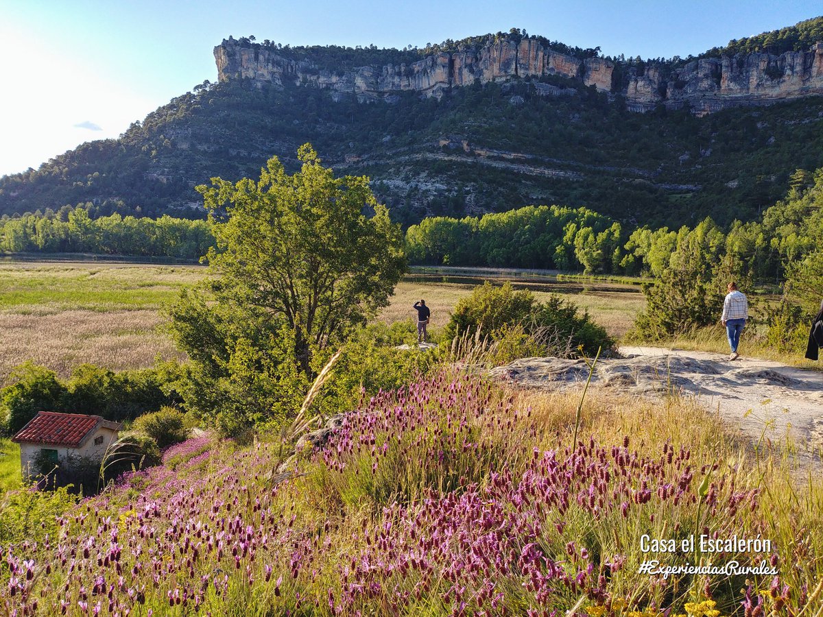 Lavanda, tomillo, romero... Huele a felicidad ☺ #lagunadeuña #SerraníaDeCuenca https://t.co/VQXNUOhREJ