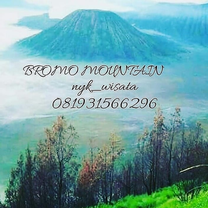 NykMlg's tweet image. Tiga bulan gak kemana2 krn stay di rmh aja. Jd kangen jalan2, tp msh nahan karena sikon blm aman.

Jd pengen ke Bromo. Biasanya  sebulan bs kesini 2-3x krn diajak sm tamu, hihi...

Kalau dah aman n kalian pengen ke Bromo, blh kontak wa ini ya, thx

#optimasitwitter
#wisatabromo