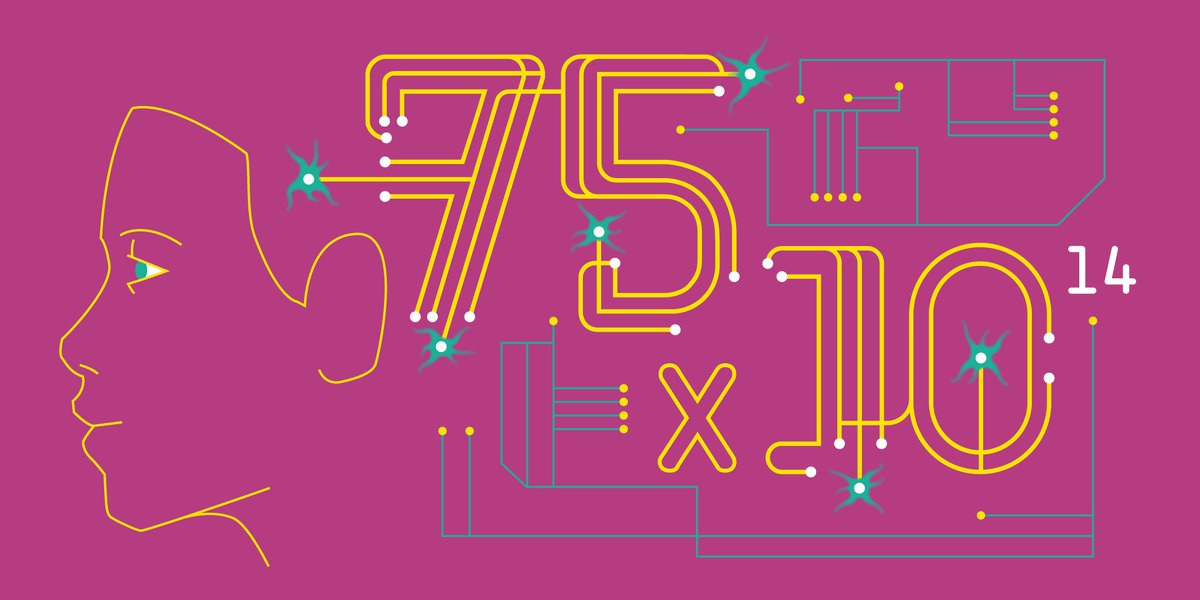 univ_lille's tweet photo. Les équipes #ULille &amp; @FondUnivLille travaillent sur une nouvelle équation qu’on pourra vous présenter mercredi. 🖩
A votre avis, de quoi s’agit-il ? 🤔 https://t.co/WZmQ3Z8Ywg