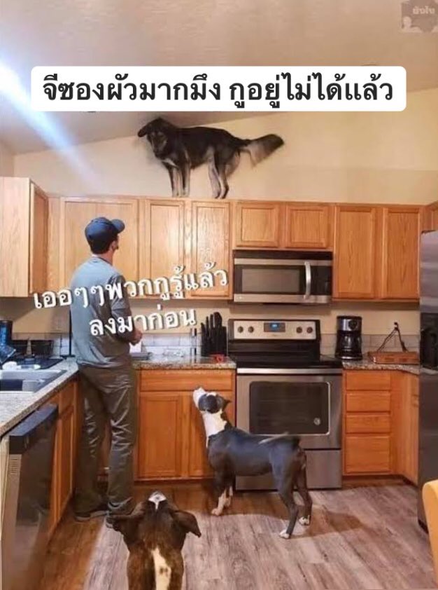 heartshot รับกดเว็บเกาหลี 🪄 tweet media