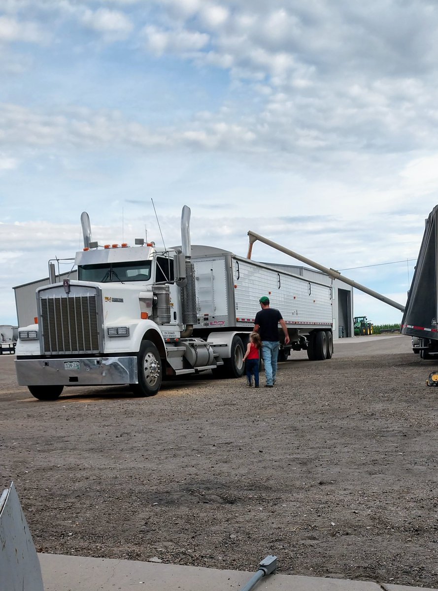 hortonseed's tweet photo. We are looking for two part time hired guys, from July 6th - October 31st.  Long hours and good pay. Ag experience is not necessary, just a willingness to learn and work hard. Contact Alec - 620-214-2417 to apply. Retweets appreciated. https://t.co/ZjPhT1rAZE
