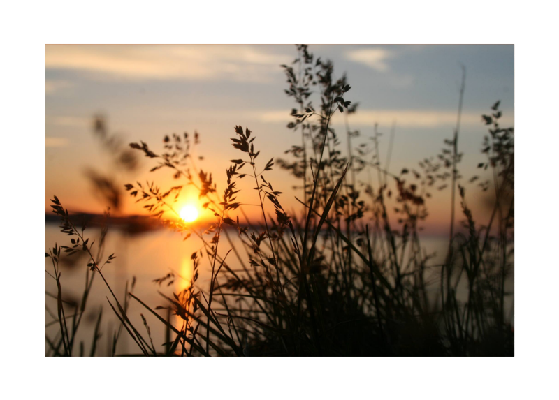 LaStatale's tweet image. 🆕🔬 #Luce e #Covid: i #raggiUV per neutralizzare il #coronavirus SARS-COV-2. I risultati di uno studio sperimentale effettuato da un gruppo di #ricercatori, con diverse competenze, di @mediainaf, @LaStatale, @IstTumori e @don_gnocchi 👉 bit.ly/2C3R89b