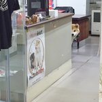 よく見てね!机の端から秋田犬が覗いてます|･ω･`)