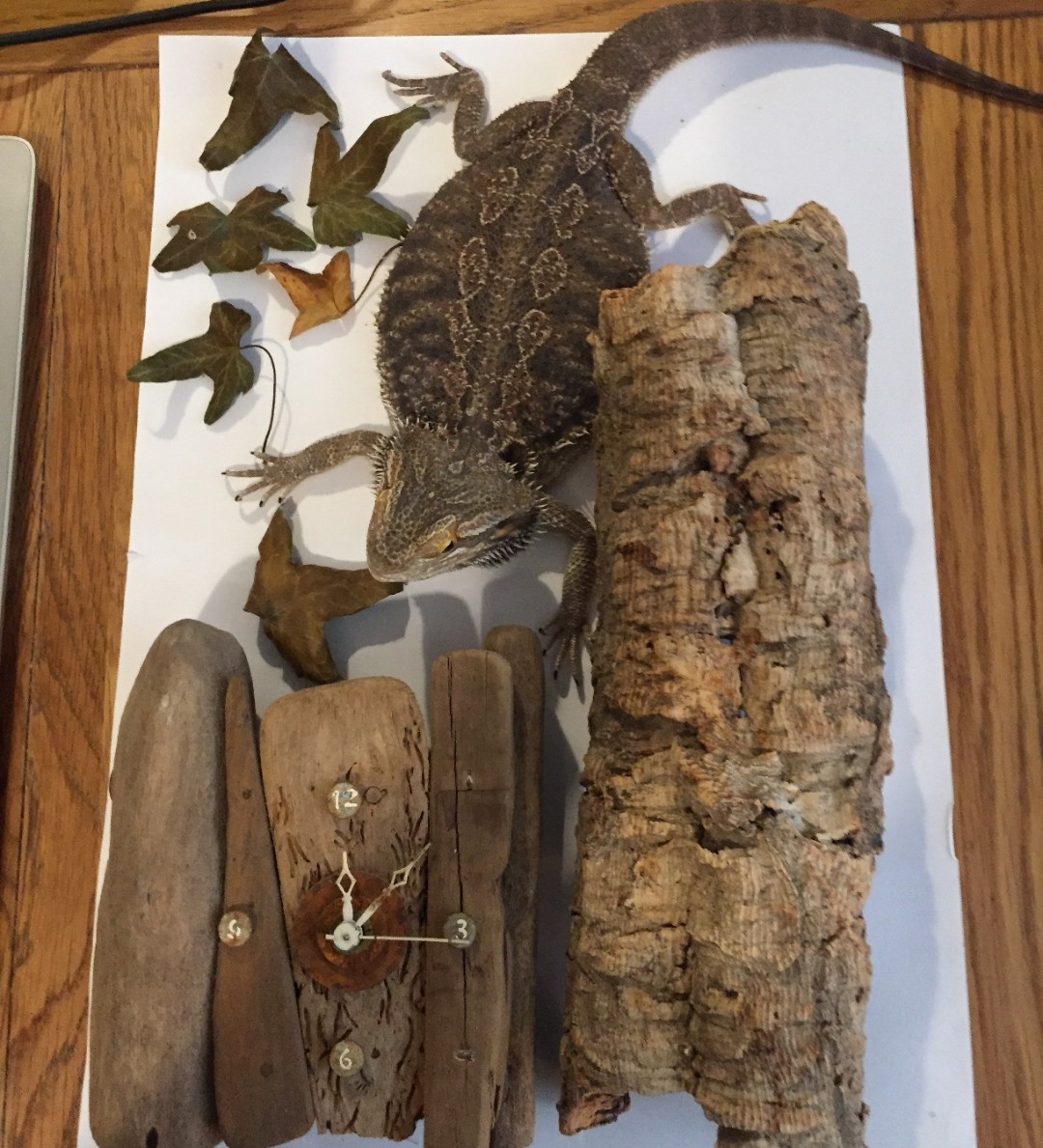 Trinity High Art tweet media