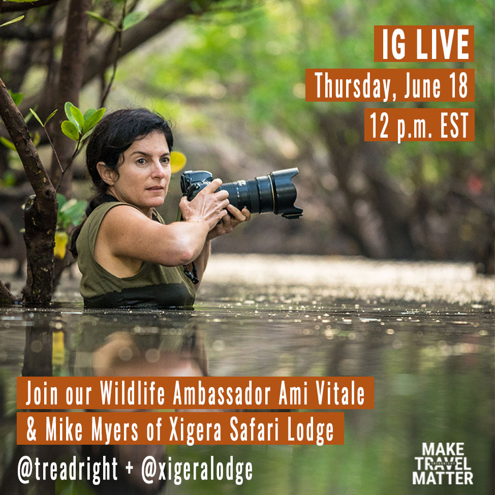 This coming Thurs. June 18 join us on IG Live at 12 pm EST for a lively discussion about ethical wildlife tourism between our Wildlife Ambassador <a href="/Amivee/">National Geographic</a> &amp; Mike Myers of @xigeralodge, part of the <a href="/red_carnation/">Red Carnation Hotels</a> Collection in Botswana. #maketravelmatter
instagram.com/treadright