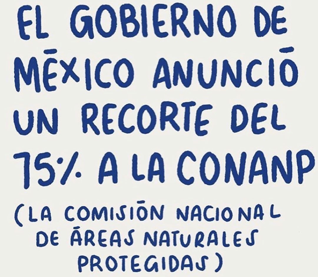 Luis Gerardo Méndez tweet media