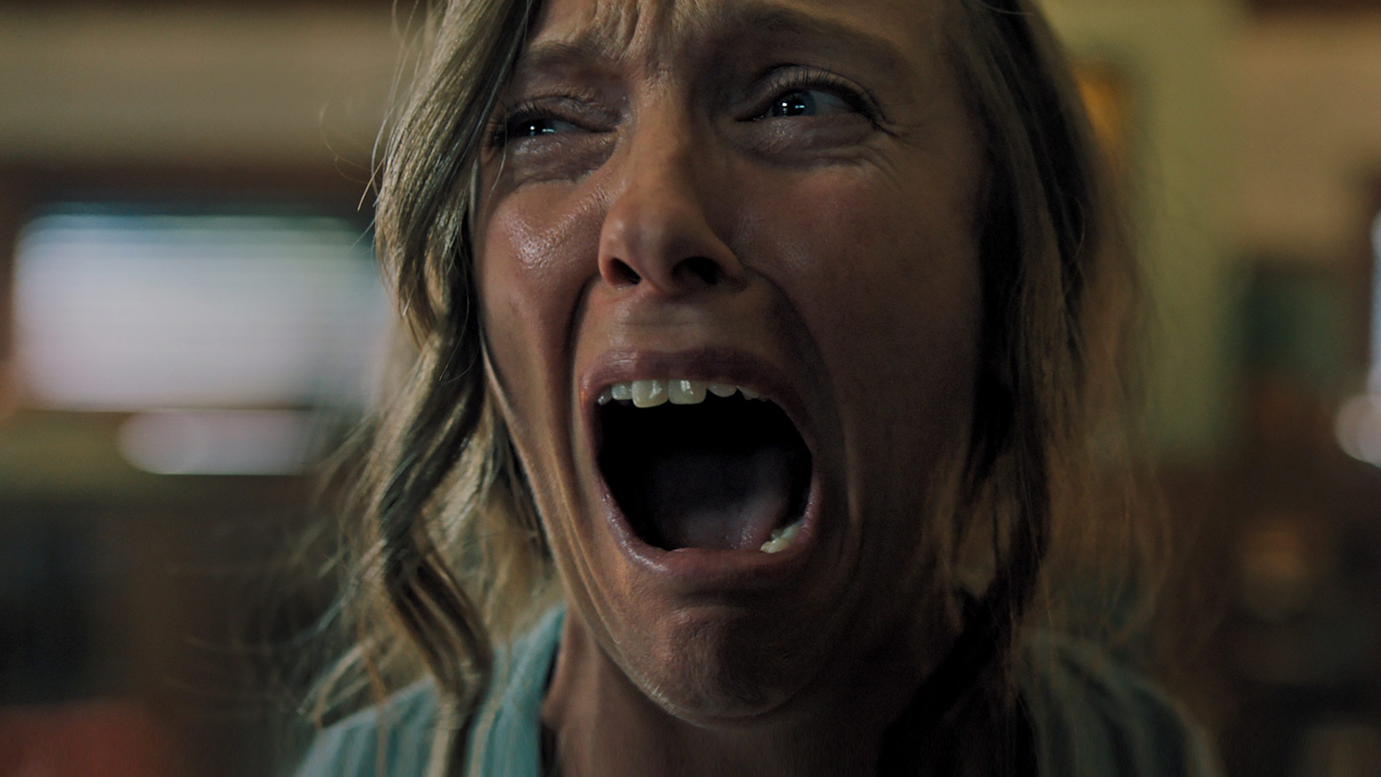 The hereditary streaming hot sale