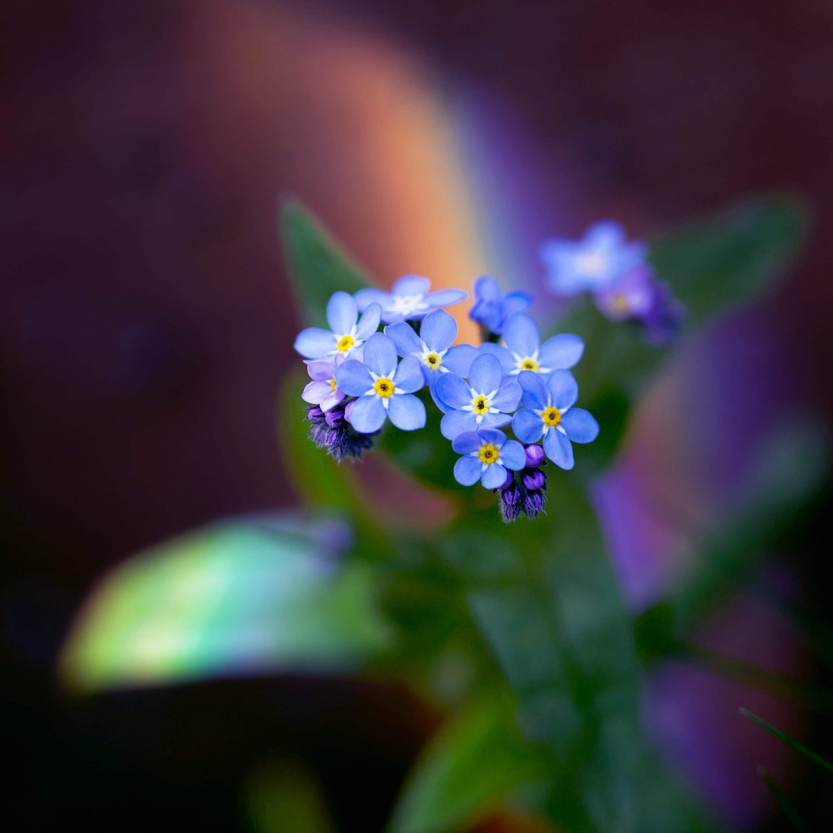YvetteLouise_'s tweet photo. Happy Nature Photography Day ๐ธ
What do you ๐ about #Nature
๐ฟ๐ฆ๐
๐ธ @YvetteLouise_
#lovenature #NaturePhotographyDay #nature #NaturePhotography #natureishealing #earthlens #earth https://t.co/XWq5C965OZ