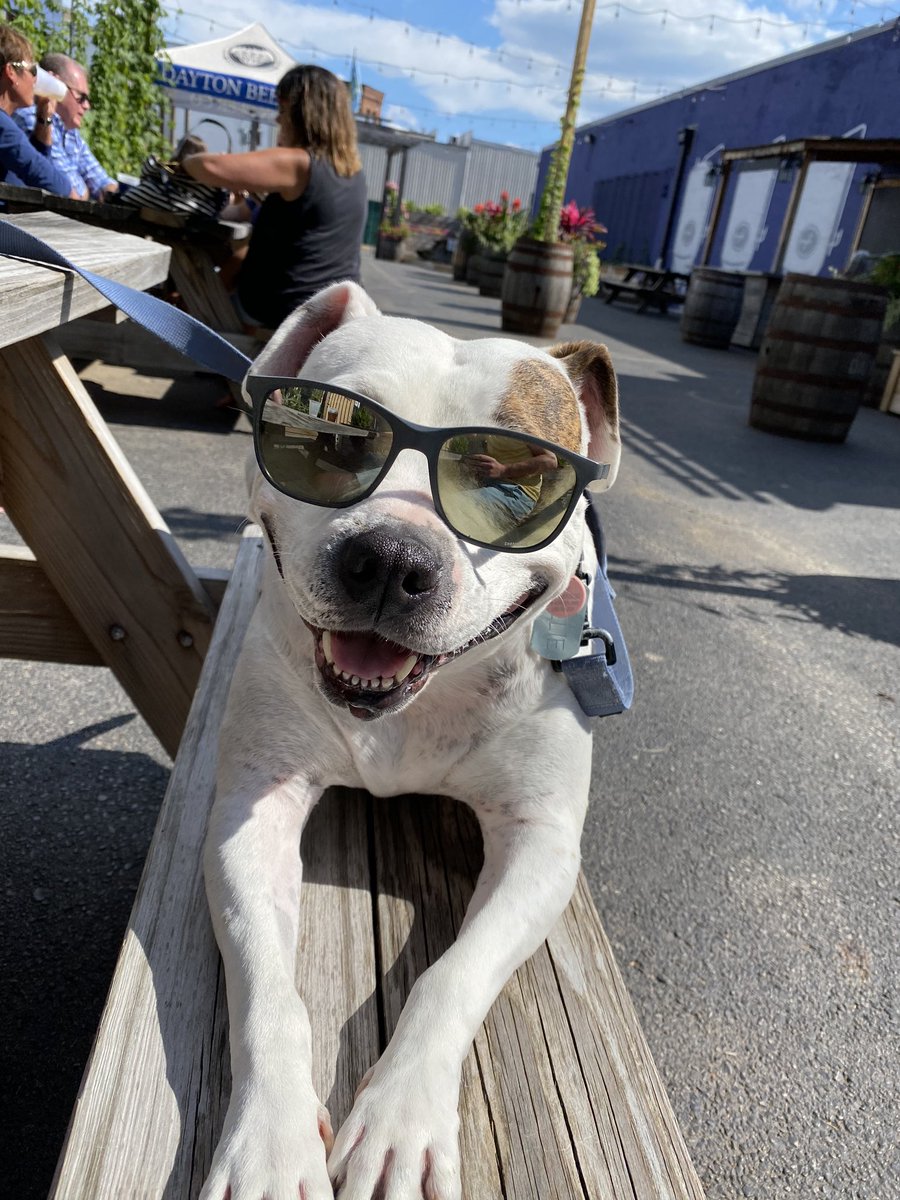 Kurtonian's tweet photo. @thedaytonbeerco https://t.co/bRLNeuETFp
