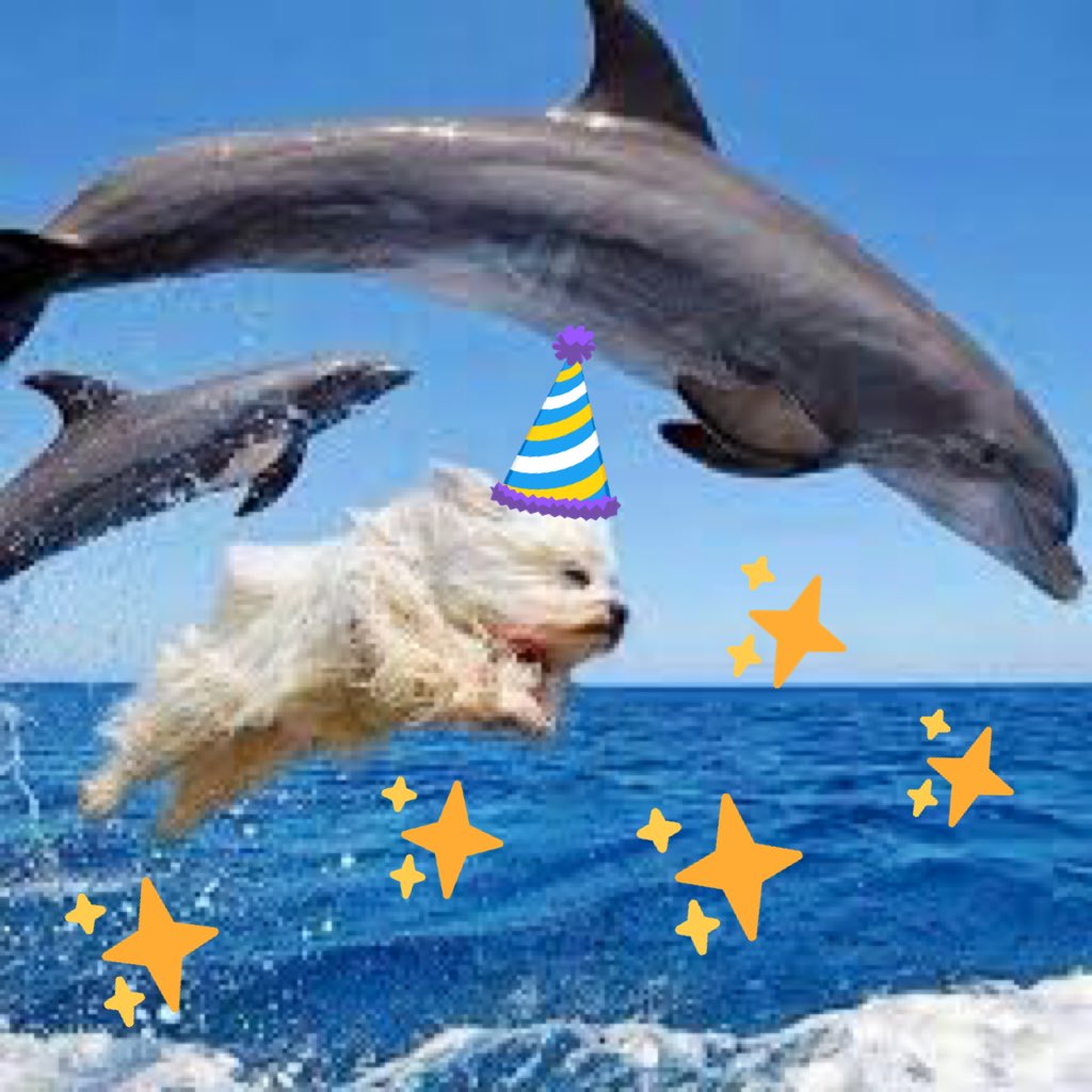 vieodesign's tweet photo. #HappyBirthday (1/2) to VIEO's very own @laurennelson865! We love witnessing your #webdesign finesse and general swag ✌️🤠✨ https://t.co/kfmrk2oeOD