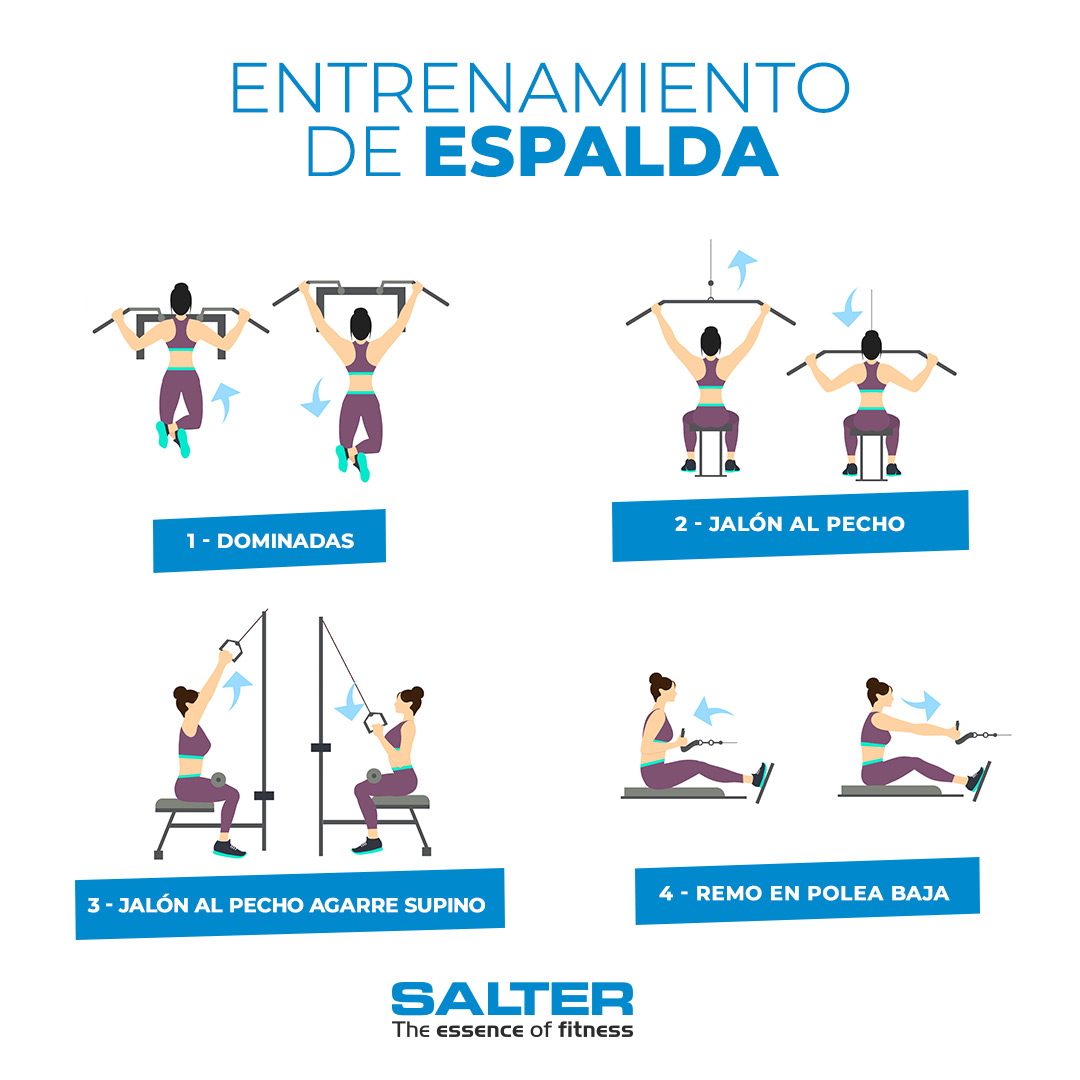 Espalda Rutina De Hipertrofia Para Pecho Rutina Pecho Y Espalda