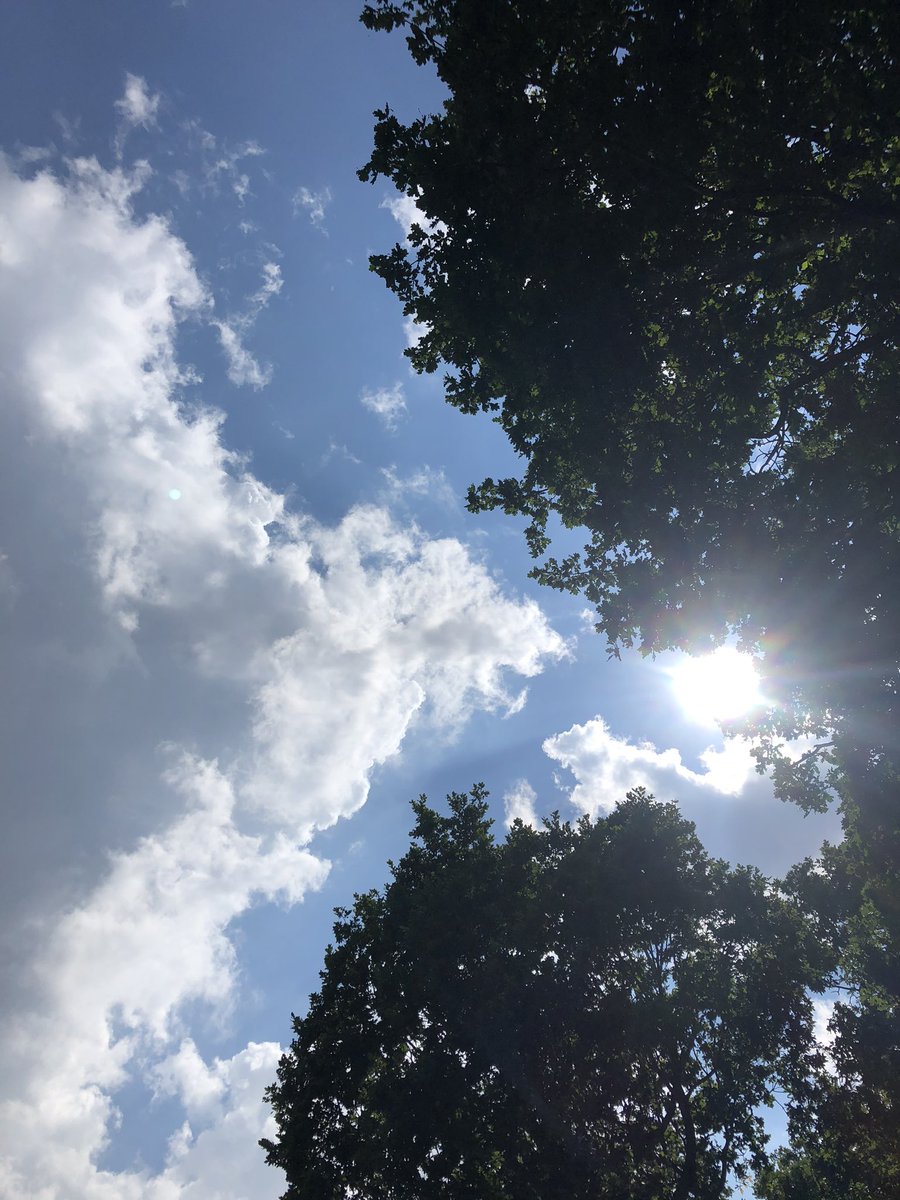 EastElectrical's tweet photo. Amazing day. Now I am finished with the site part of the landlords electrical inspection and test. Iโm back for some paperwork. Come on summer โ๏ธ #electrical #electrical #testing #eicr #fixedwiretest #periodic #landlords #5years #MondayMotivaton https://t.co/bAOvsgeE2f