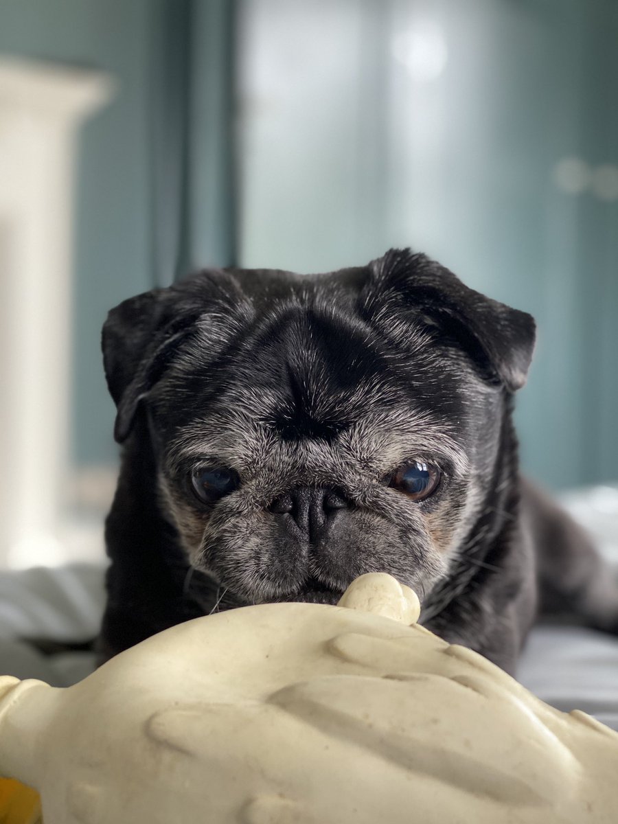 S J Watson - Thriller Writer tweet media