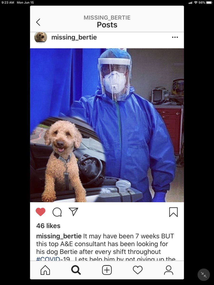 @rob_clowes Hi Rob, Please share <a href="/bertie_is/">Bertie is missing</a> . His Dad(an NHS worker) and Family are gutted. Much thanks!