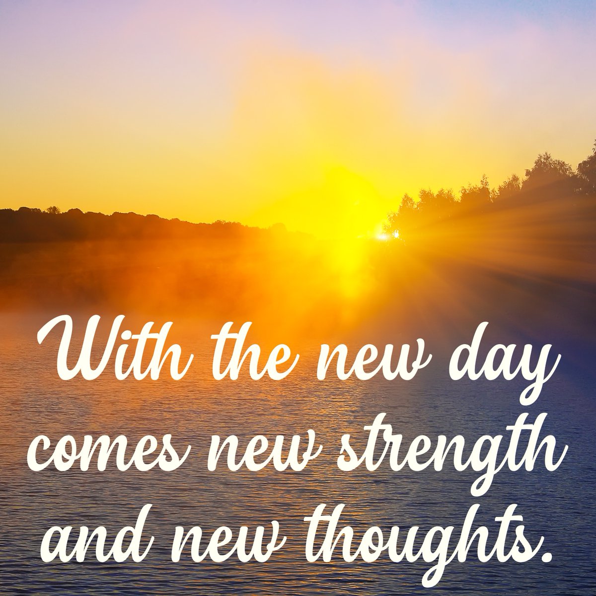 powdermarket's tweet photo. "With the new day comes new strength and new thoughts." -Eleanor Roosevelt

Every day is a fresh start. Leave all of your negative thoughts behind and focus on what you can accomplish today.

#MondayMotivation #PowderMarket #PowderCoating https://t.co/DM4L6loHN5