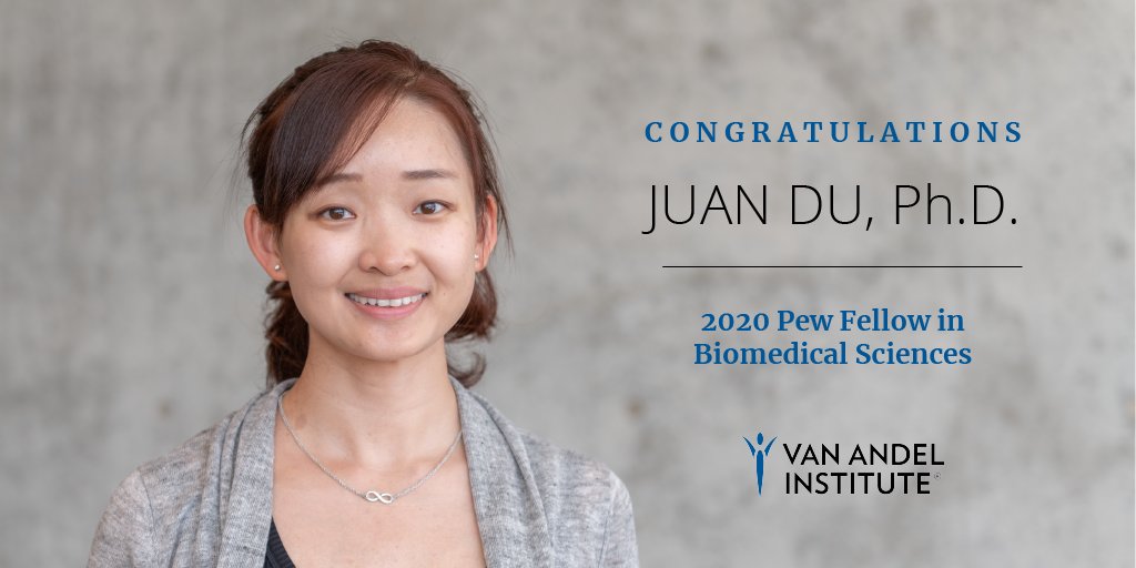 Van Andel Institute (VAI) (@vainstitute) on Twitter photo Dr. Juan Du, an assistant professor in VAIās Center for Cancer and Cell Biology, has been named a 2020 Pew Scholar in the Biomedical Sciences by <a href="/pewtrusts/">The Pew Trusts</a> <a href="/pewhealth/">Pew Health</a>. Congratulations, Dr. Du!
Learn more: ow.ly/f1CY50A7Z8S Dr. Juan Du, an assistant professor in VAIās Center for Cancer and Cell Biology, has been named a 2020 Pew Scholar in the Biomedical Sciences by <a href="/pewtrusts/">The Pew Trusts</a> <a href="/pewhealth/">Pew Health</a>. Congratulations, Dr. Du!
Learn more: ow.ly/f1CY50A7Z8S