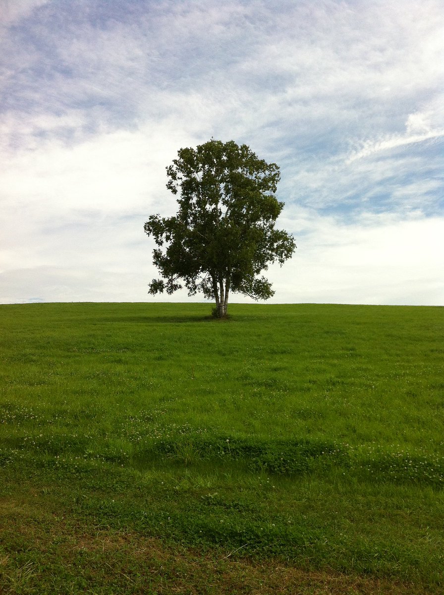 桐生、浜名湖と立て続けにフライングしてしまいました。
信じて買って頂いた方や、関係者の皆様すみませんでした。

無観客レースも徐々に解除されつつある中で、走らせてもらえることに感謝して残りのレースに臨みます🙏