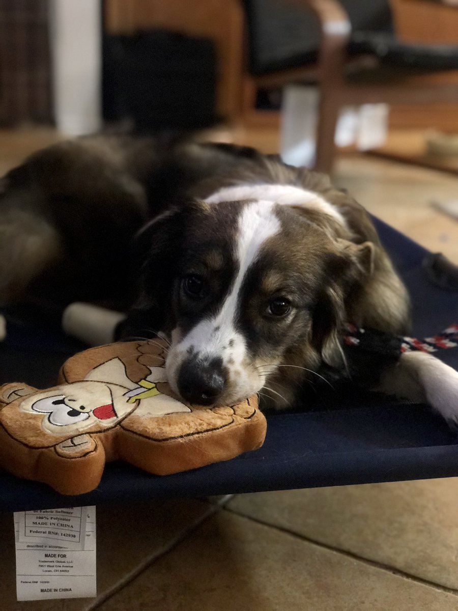 MelSternum's tweet image. Some Misty content 💕