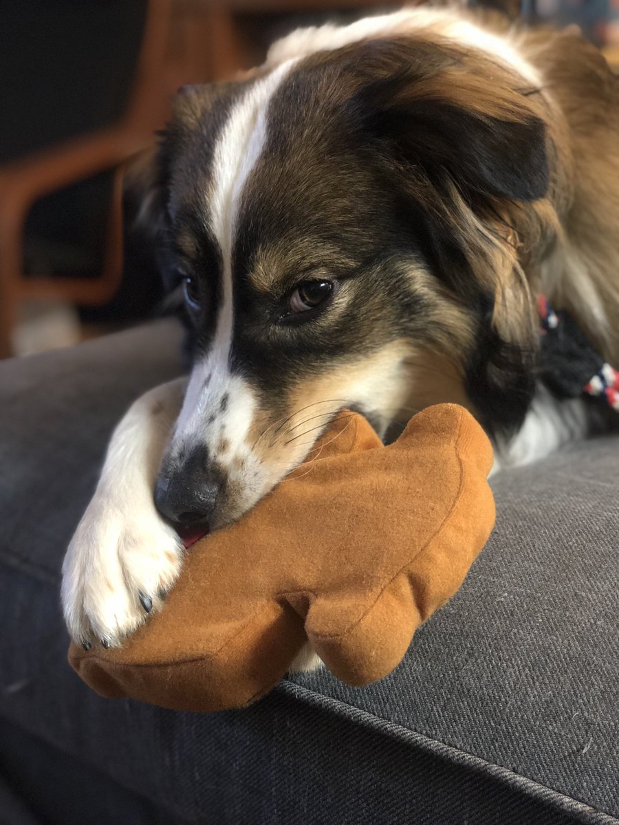 MelSternum's tweet image. Some Misty content 💕