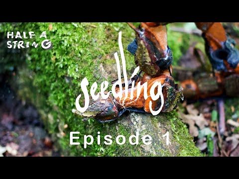 Half a String tweet media