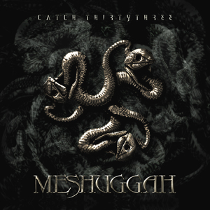 xisumavoid's tweet photo. New Music Blog : Meshuggah "Catch Thirtythree" (2005)
https://t.co/F8ybIaUhqW
#Meshuggah #CatchThirtythree https://t.co/J6PbnGQeGR