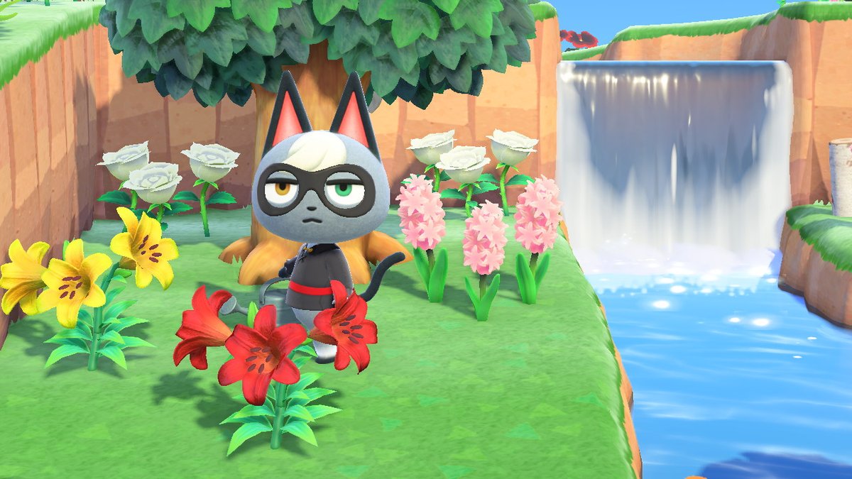 goblin_crossing's tweet photo. #AnimalCrossing #ACNH #NintendoSwitch https://t.co/qH9Lk3zlfL