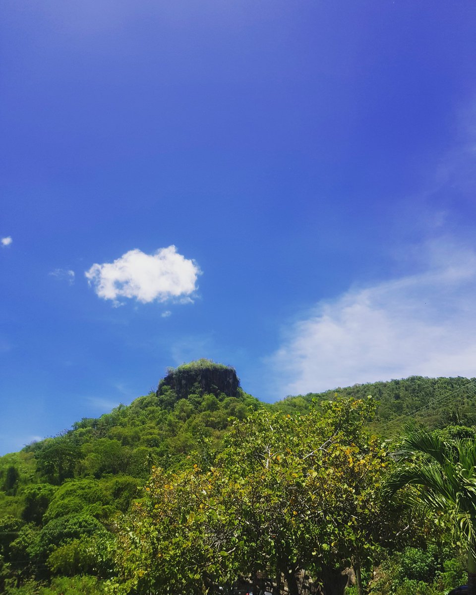 madeingrenada's tweet photo. Blue skies...lush green vegetation...#madeingrenada #photography #MotherNature #grenada https://t.co/u1Da0uA0i0