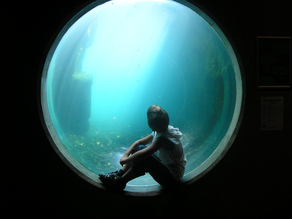 @JamesTwigger @LivingCoasts My middle son Jake's favourite place when he was younger... #TorbayHour