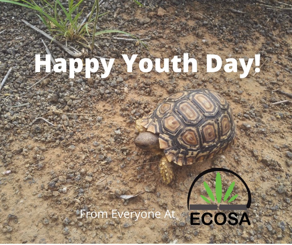 🇿🇦 Happy Youth Day South Africa! 🇿🇦

Lets empower and uplift the future generations of our country by educating them to the best of our ability! 

#YouthDay #BlessSouthAfrica #ECOSA #natureconservation #nonprofit